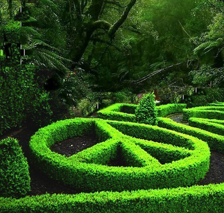 sofresh_sogreen's profile picture. Hello? Is it me you're looking for?