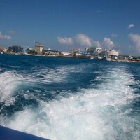 Tanya Faucheux (@tanyaf247) 's Twitter Profile Photo