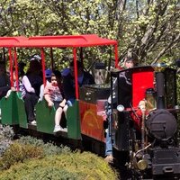 Cockington Train(@cockingtontrain) 's Twitter Profile Photo