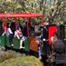 Cockington Train (@cockingtontrain) Twitter profile photo Cockington Train (@cockingtontrain) Twitter profile photo