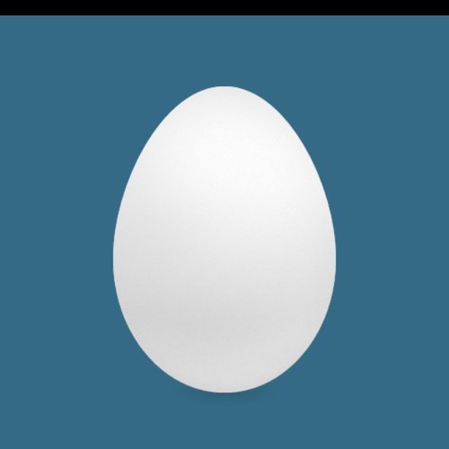 gm21229's profile picture. 