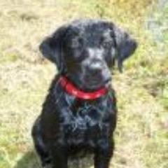 Buck767's profile picture. 