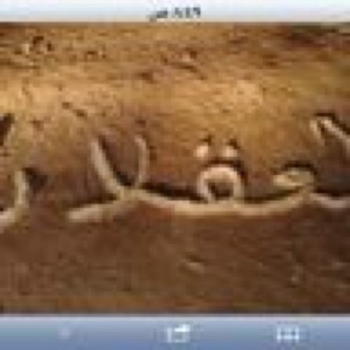 مراسل/ مكشات بالذيبية.منطقة القصيم