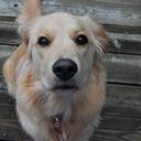 Lori Thibodeaux - @lorithib - Twitter