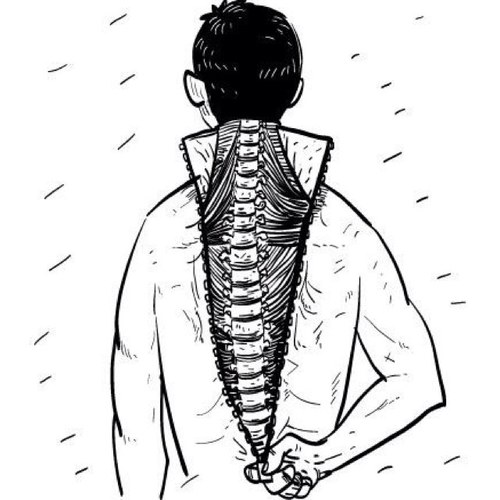 Fisioterapeuta. Osteópata CO. Biomecánica Ciclista. Fisioterapia Invasiva Ecoguiada. Inquieto - curioso. Fiebre por la natacion y la bicicleta.