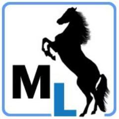 Mustang List provides easy & cost effective email marketing, event management, surveys and CRM capabilities to small businesses, associations and nonprofits.