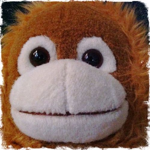 folkraccio's profile picture. 家族とおだやかな生活が大好きな小心者です。 いい風吹いてきた。