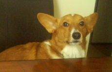 flatsoundlyrics's profile picture. this isn't mitch but these are his lyrics and quotes kk