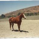 adam ray ferris - @cowdog54 - Twitter