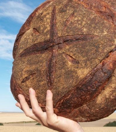 KensArtisan's profile picture. Ken's Artisan Bakery, Ken's Artisan Pizza, Trifecta Tavern & Bakery and JBF award winning book: FLOUR WATER SALT YEAST