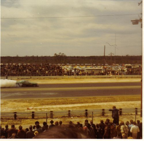 greathouse13's profile picture. Vegetable cook likes tVegetable cookraveling.