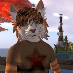 Blogger, builder & photographer in and about Virtuality
