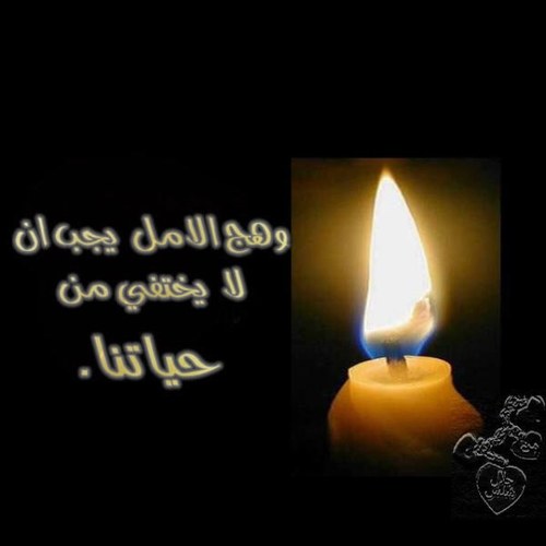عربي و لا اعترف بالحدود. 
 مسلم و
 أنبذ الطائفية. 
إنسان وأكره التميز العنصري.