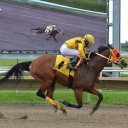 Hpistable's profile picture. 