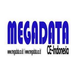 IT Solutions (Brain, Software and Hardware)