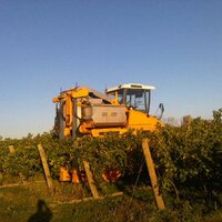 George ll vineyards (@billgeorgevines) 's Twitter Profile