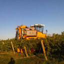 George ll vineyards - @BillGeorgeVines - Twitter