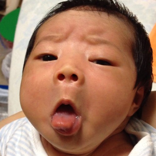 tomomo0311's profile picture. お酒お酒お酒！お酒と仕事と睡眠をこよなく愛してます(●･ω･●)2012年2月入籍・8月長女出産のプレママです。育児、家庭のツイート主体でやってます。仕事は現在育休中。