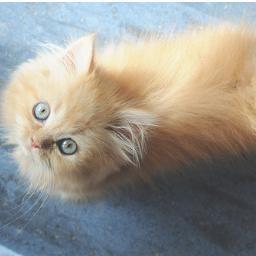 Heatherandcrap's profile picture. Uhg