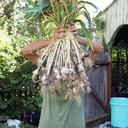 Dana Frame - @DanaFrame - Twitter