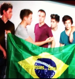 directioner 4ever, brazilian girl..... ps: eu sei que o certo é Brazil LoveS 1D mas nao deu pra colocar entao nao precisa me corrigir!!bjbj