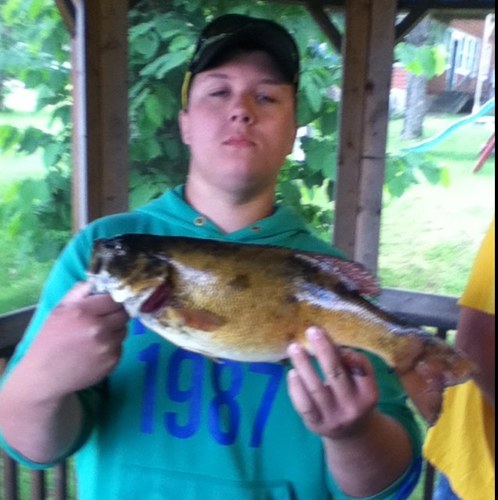 harebear77's profile picture. 