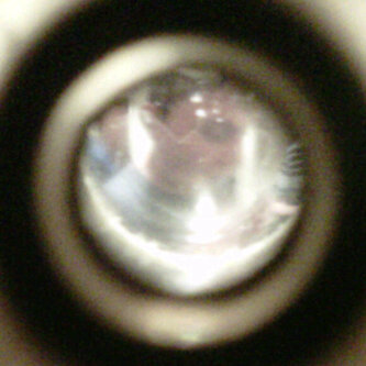 GirlfriendHelp's profile picture. This is a account that you can help to either get a girlfriend or to help with your girlfriend problems. I also do guy problems to