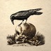 freedom of congpik (@foc69) Twitter profile photo freedom of congpik (@foc69) Twitter profile photo