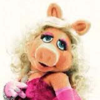 One fabulous pig. 

#MuppetsAgainstMitt