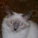 Amy Dalby - @dalbysoda - Twitter