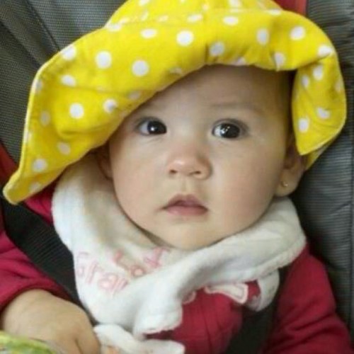 javagirl728's profile picture. 