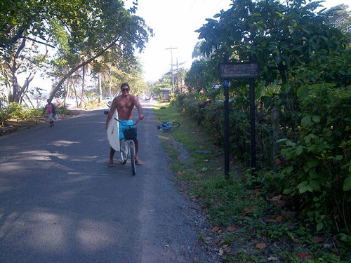 cardenasfreddy's profile picture. 