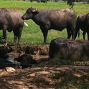 hector botero - @BoteroHector - Twitter