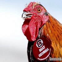 Sir Big Spur (@sir_big_spur) 's Twitter Profile Photo