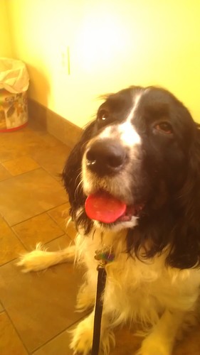 mike_dedora's profile picture. 