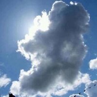 Helen (@helentreacycork) 's Twitter Profile