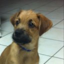 Judy Mix - @jmix77 - Twitter