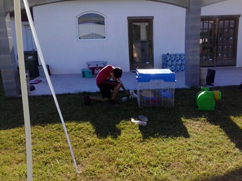 BrandonMax12's profile picture. Love soccer ,ur either with me or against me