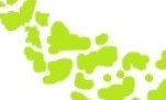 T.he A.rchipelago G.roup is dedicated to creating innovative leaders, engaged cultures and inclusive communities
