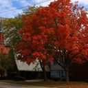 Matthew Wideman - @widemanmatthew - Twitter