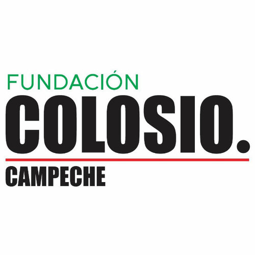 Cibernautas Fundación Colosio Campeche. Gestamos ciudadanía aprovechando las plataformas de Internet. Informamos, involucramos y nos sincronizamos.