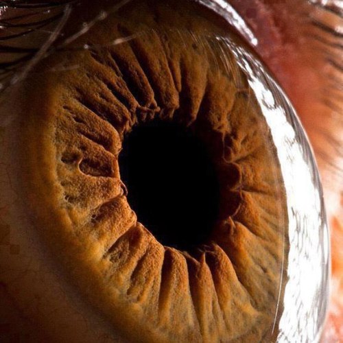 roberto_kike's profile picture. Soy divertido,guapo,me gusta jug