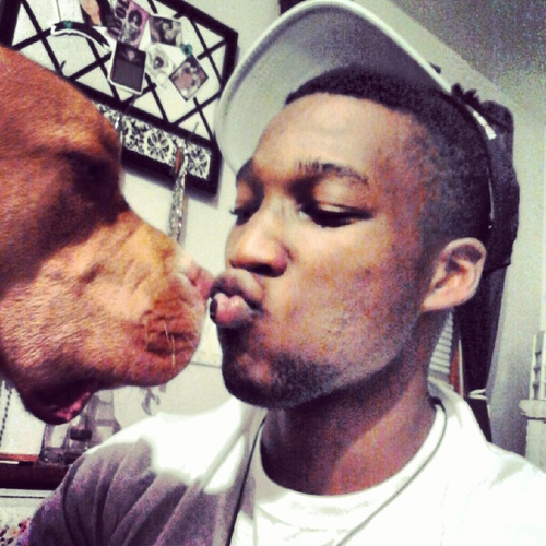 G_I_Fckin_Joe's profile picture. ceo of voicenotes