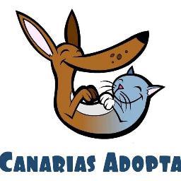 CANARIAS ADOPTA es una protectora de animales sin ánimo de lucro de Gran Canaria. Somos voluntarios que promovemos la protección de animales abandonados.