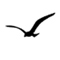 capemacrepair's profile picture. Our goal is to provide fast, professional and affordable services for your Mac, Cape Cod MA