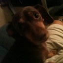 Penny Cason - @penny_cason - Twitter