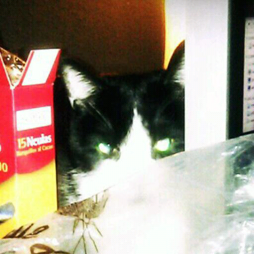 javi2d's profile picture. 