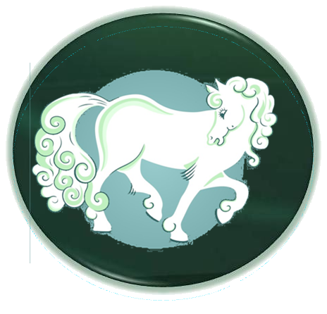 Magate Wildhorse Consulting℠ ─
“Helping organizations transcend expected levels of success despite; the constraint of size.”
