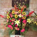 るか☆JKS祝20周年‥ (@1957Harumi) Twitter