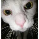 Burley Sue Bean - @burleysuebean - Twitter